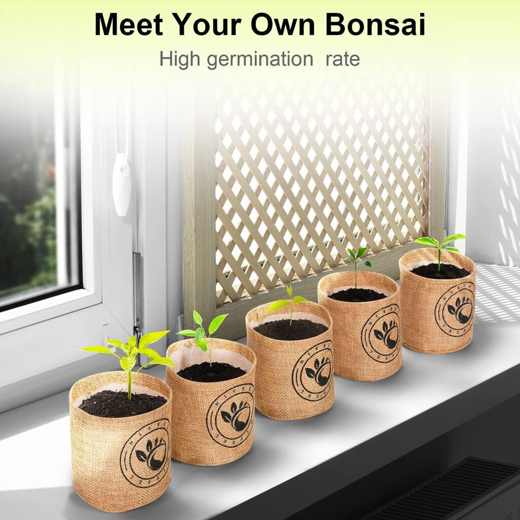 Bonsai Tree kit -NIFSEL Bonsai Growing Kit - Complete Starter kit, 5 Types of Trees - Culture Medium, Plant Marker, Burlap Pots - Indoor Garden Gardening - Unique Garden Gift, Housewarming Present