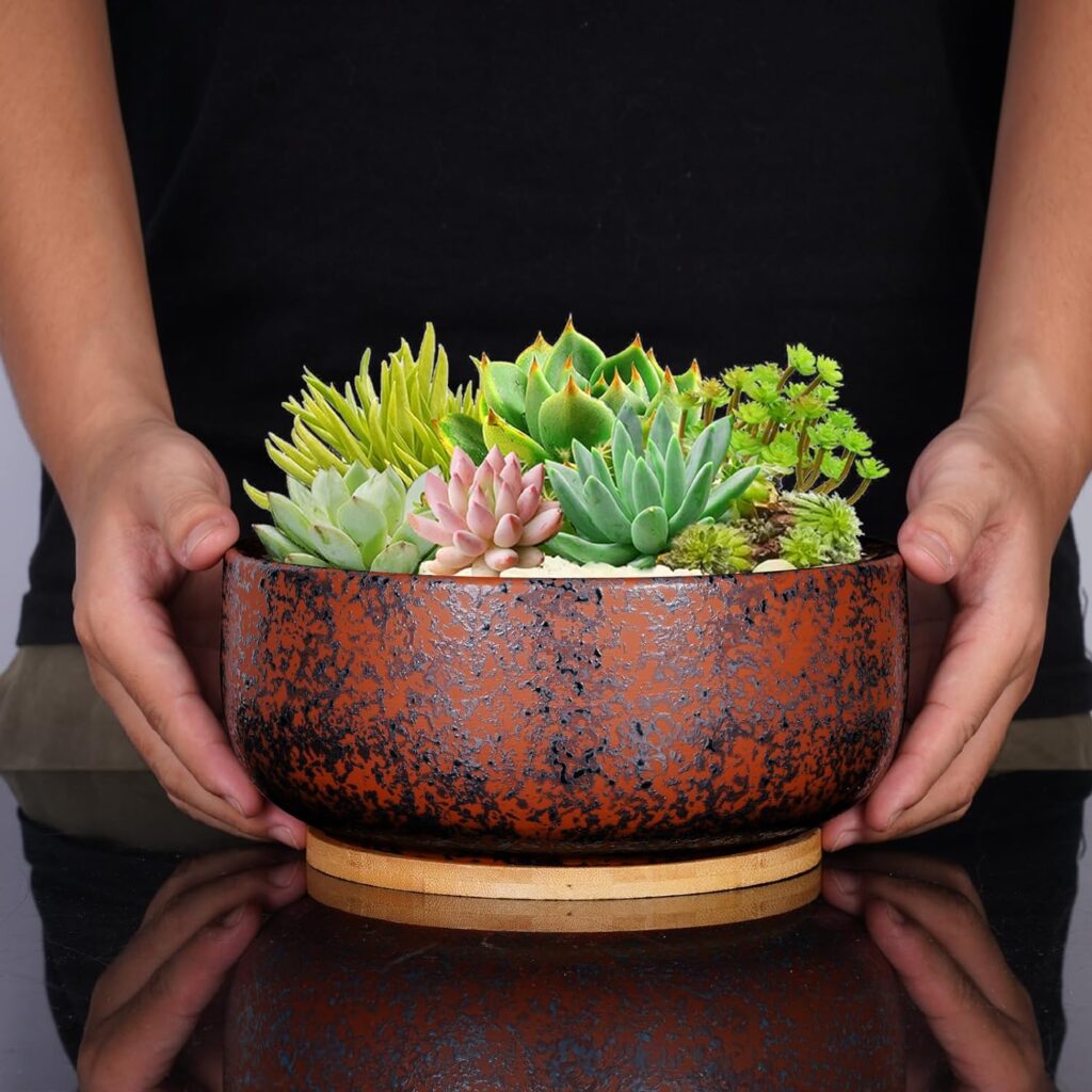 8-Inch Round Terracotta Planters Bonsai Plant Pot with Bamboo Tray,Black