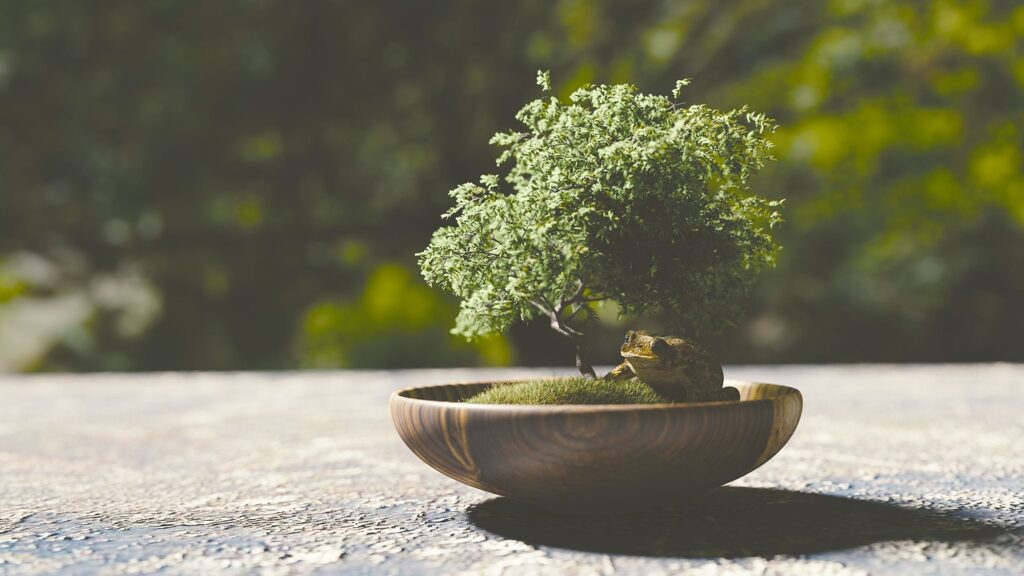 Can You Save A Dead Bonsai Tree?