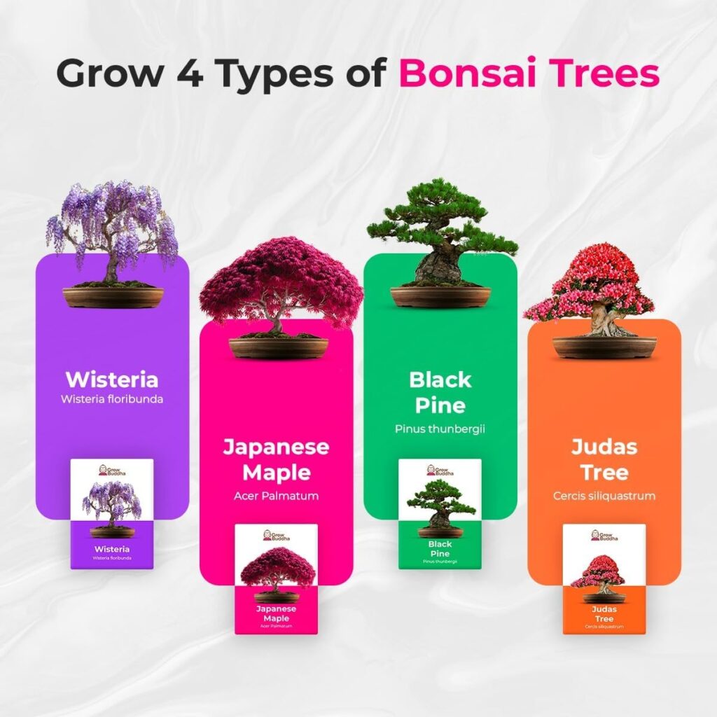Grow Your Own Bonsai Tree kit | Easily Grow 4 Types of Bonsai Tree with Our Complete Beginner Friendly Bonsai Starter kit | Bonzai Tree | Christmas Gift Set for Plant Lovers (Bonsai Kit)