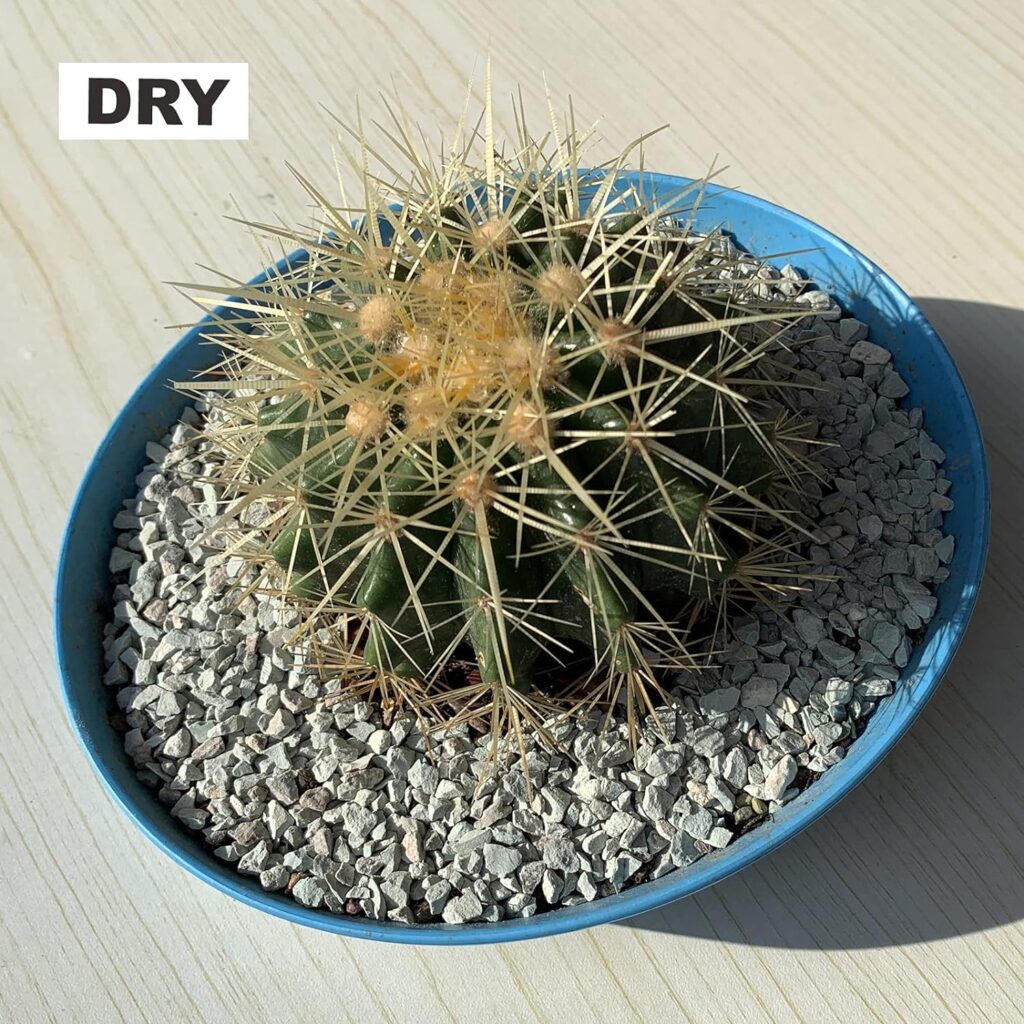 2.5lb Bonsai Succulent and Cactus Soil Boniosz Gritty Mix Rocks Faster Draining Optimized PH No Root Rot