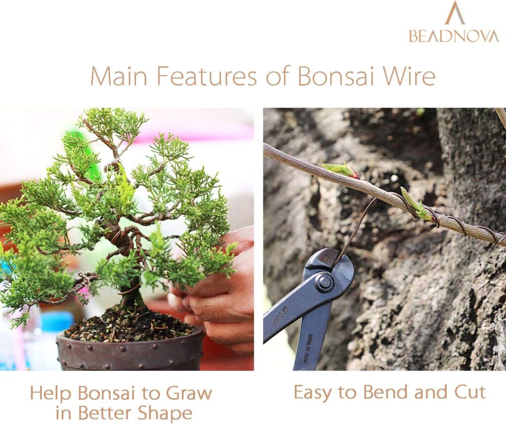 BEADNOVA Bonsai Tree Wire 98 Feet Copper Aluminum Wire Bonsai Tree Training Wire for Indoor and Outdoor Bonsai Plant (Copper, 1mm, 30m)